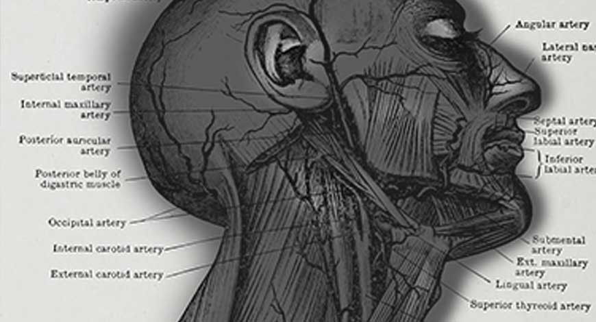 Head & Neck Injuries