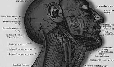 Head & Neck Injuries